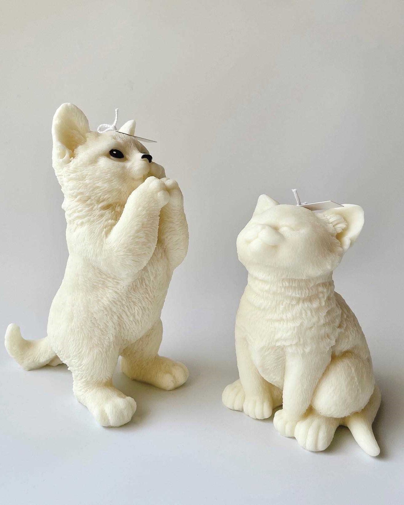 Lotus and Fudge Cat Candles