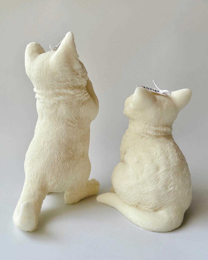 Lotus and Fudge Cat Candles